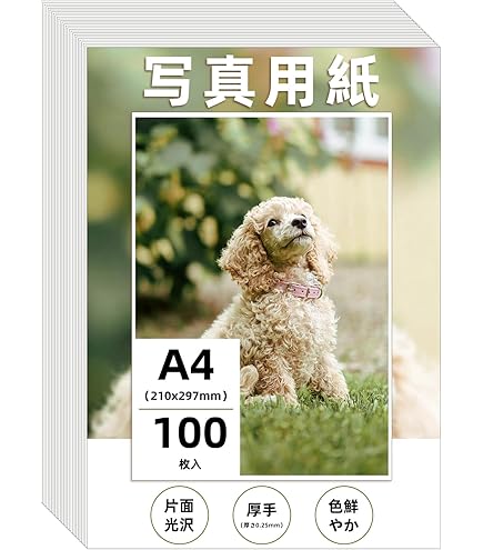 Amazon.co.jp: HP プレミアム速乾光沢フォト紙 ( 610mm ) Q7991A